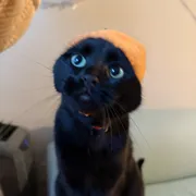 Profile picture of ARIEL D.