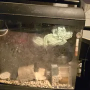 Sean D Profile photo 17