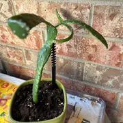 KITTY Profile photo 15