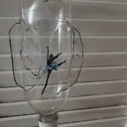 Veronica N. Profile photo 2