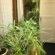 Sabrina Profile photo 1