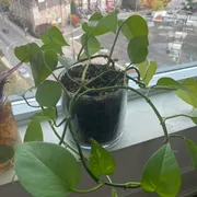 Debbie S. Profile photo 3