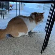 Profile picture of F.j.B.E