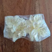 Jackie E. Profile photo 4