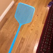 Tara Profile photo 7