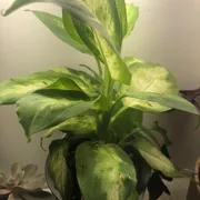 Quinn W. Profile photo 2