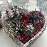 Micaela Gayner Profile photo 2