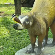 Profile picture of JJ