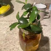 Debbie S. Profile photo 6