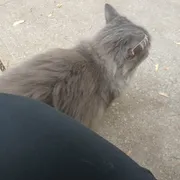 Profile picture of Alice