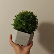 joanna  Profile photo 22