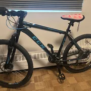 Evelyn  Profile photo 11