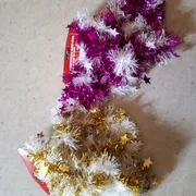 Sophia L. Profile photo 15