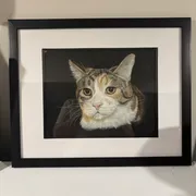 Shawn M. Profile photo 3