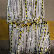 Trish Profile photo 4