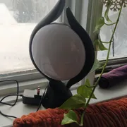 Bella V. Profile photo 4