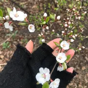 Profile picture of Sabrina