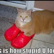 Val F. Profile photo 3