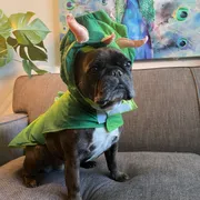 Leslie Profile photo 17