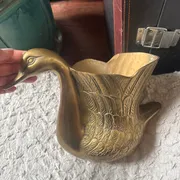 Evelyn  Profile photo 4