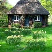 Vacation rental/cottage near Toronto  photo 2