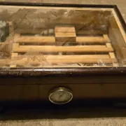 Sean D Profile photo 16