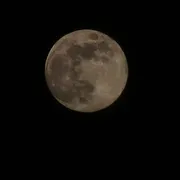 Profile picture of Yoyo P!