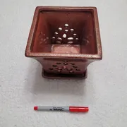 Paul T Profile photo 24