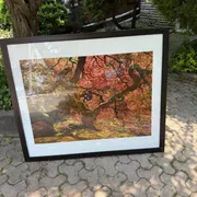 Alessandra  Profile photo 2