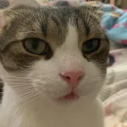 Profile picture of Day