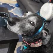 Profile picture of stan