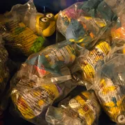 Sean D Profile photo 12