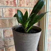 KITTY Profile photo 8