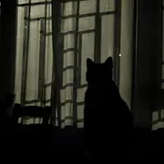 Anyone accepting BTZ?  photo 1