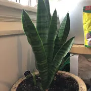 Alix Teresa  Profile photo 9