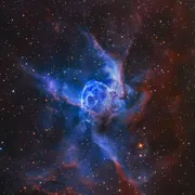 Profile picture of Nuit