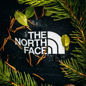 Image for The North Face
