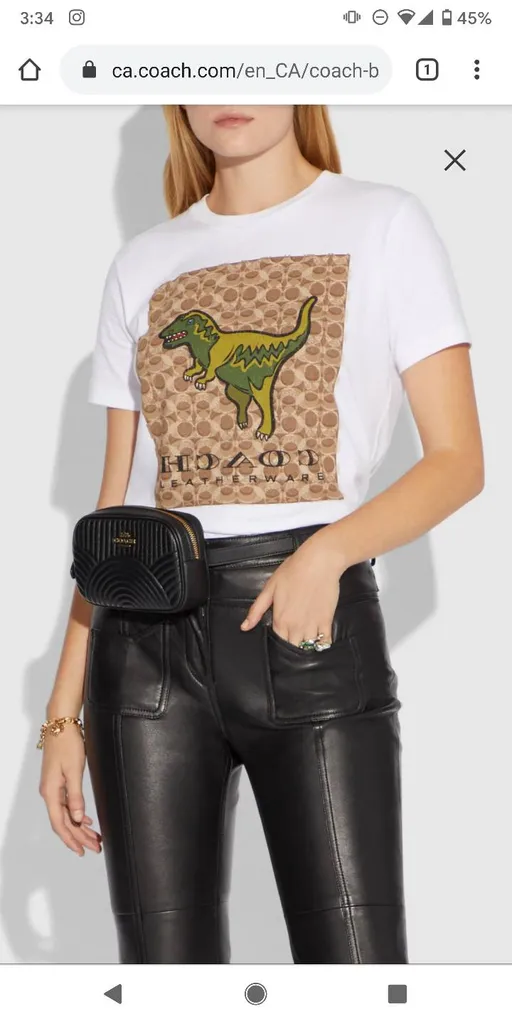 BNWT Coach Fanny Pack photo 1