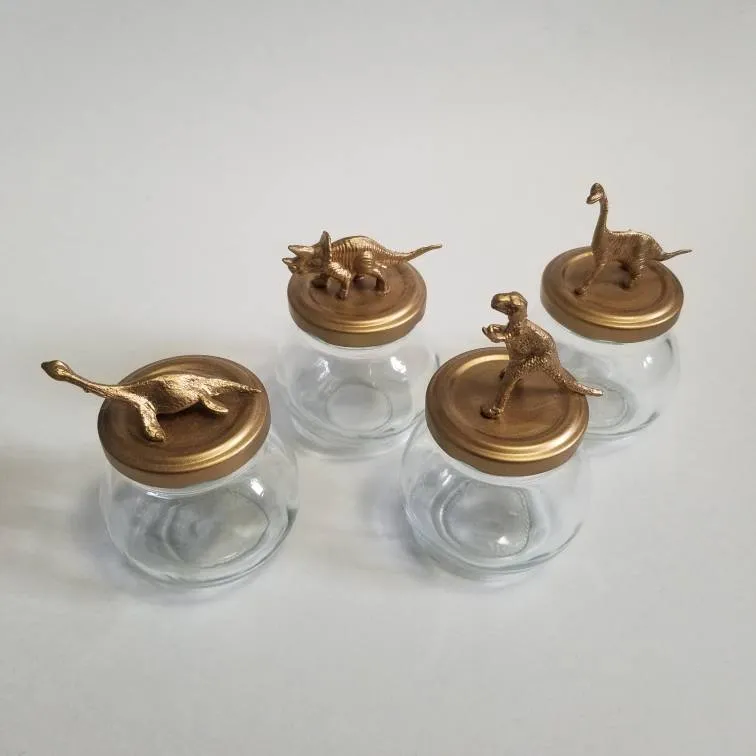 Dinosaur Jars photo 1