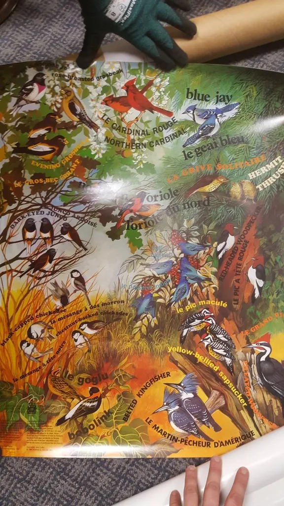 French English Posters photo 1