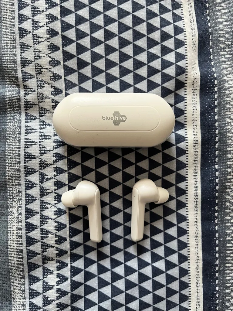 Blue Hive Wireless Earbuds photo 1