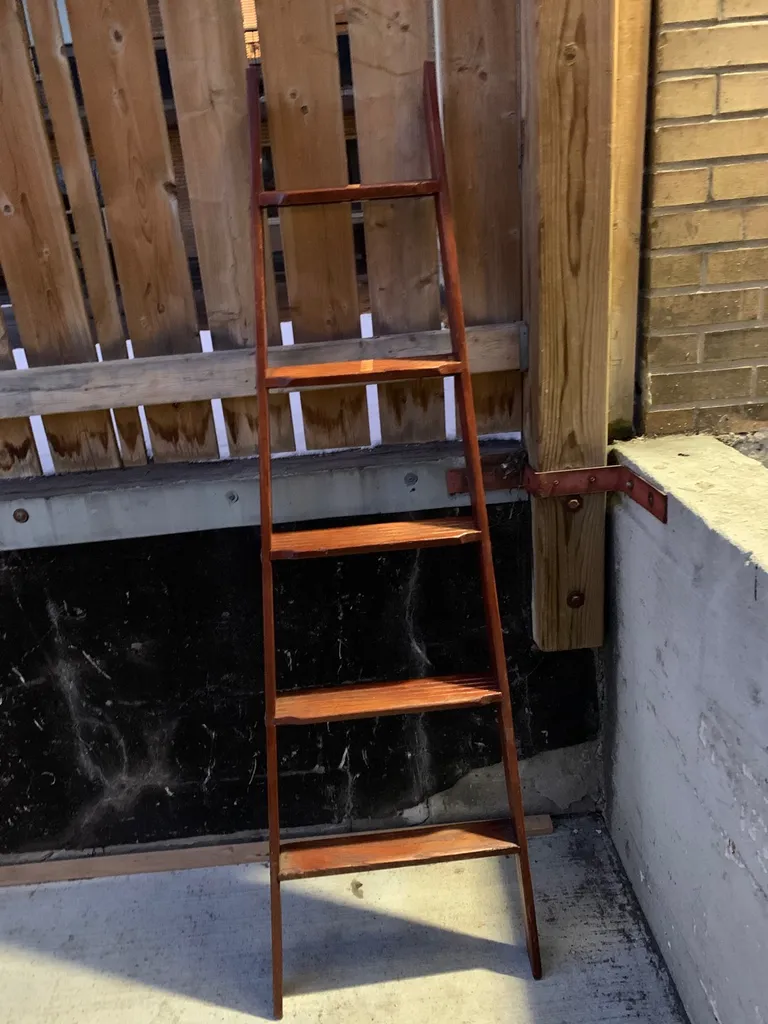 Handsome Lil Ladder photo 1