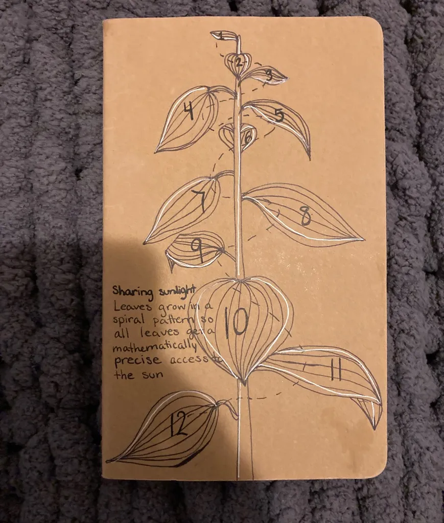 free sketchbook photo 1