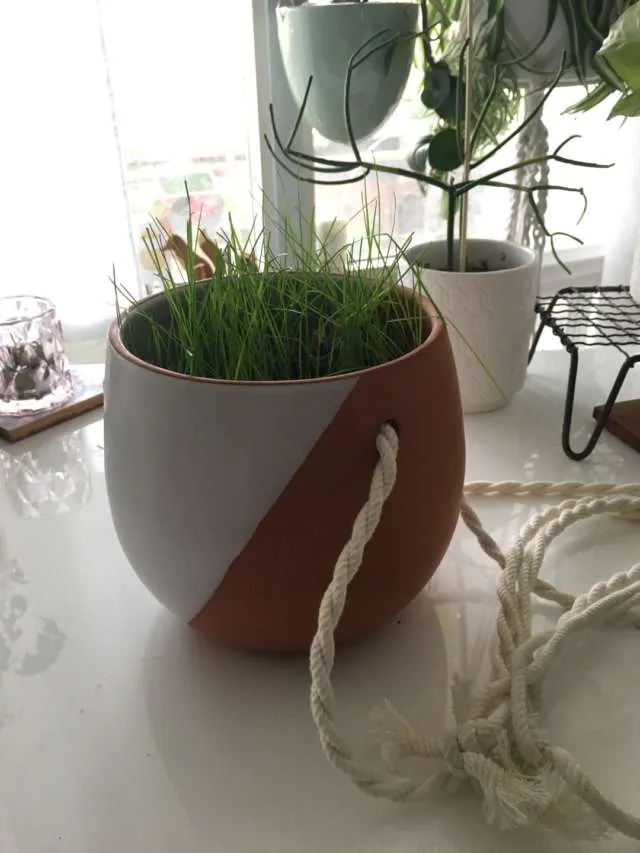 Hanging Planter photo 1