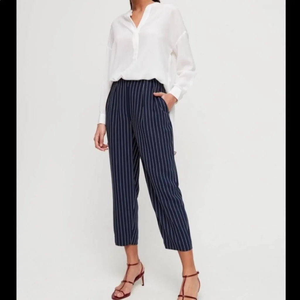 Aritzia Babaton Modesto Pant photo 1