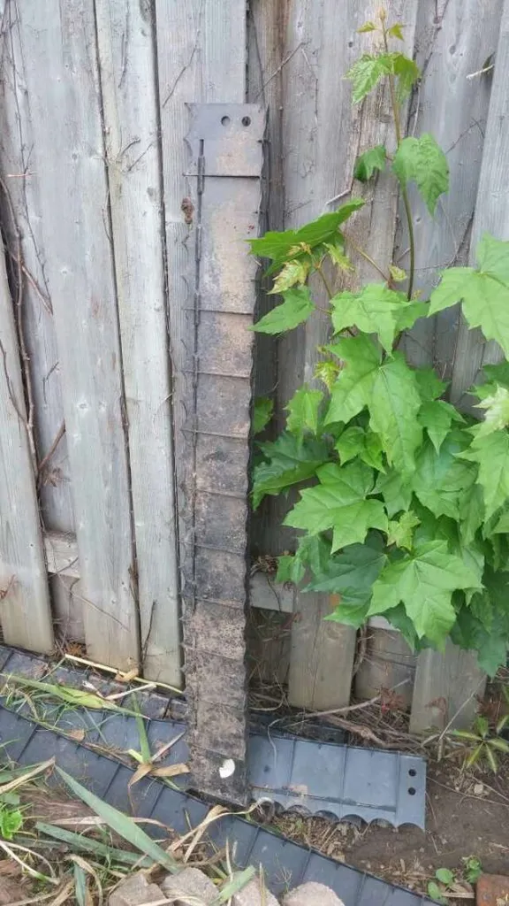 Black Plastic Garden Edging photo 1