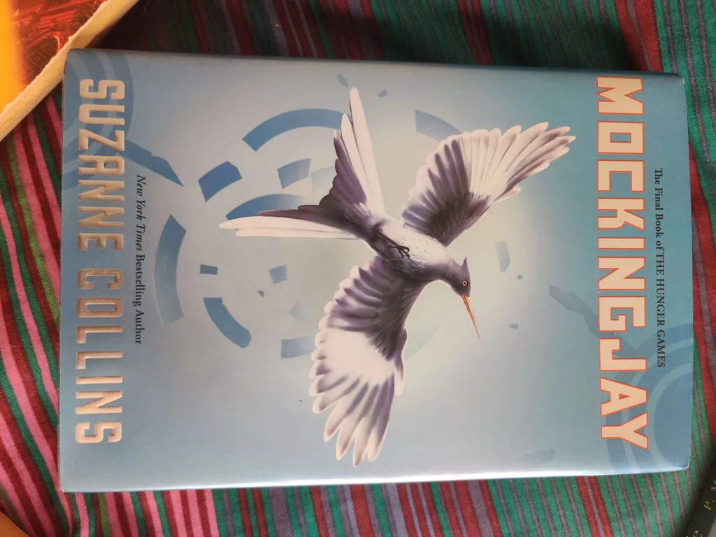 Catching Fire and Mocking Jay (Hunger Games 2 & 3) photo 1