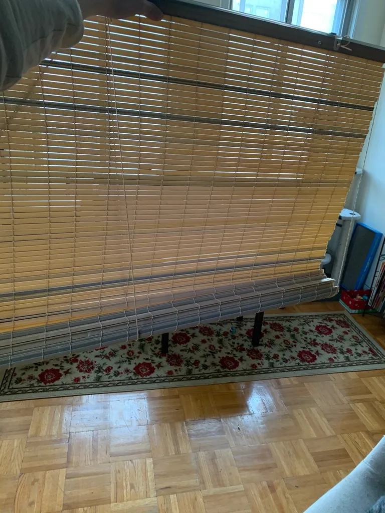 Window Blinds photo 1