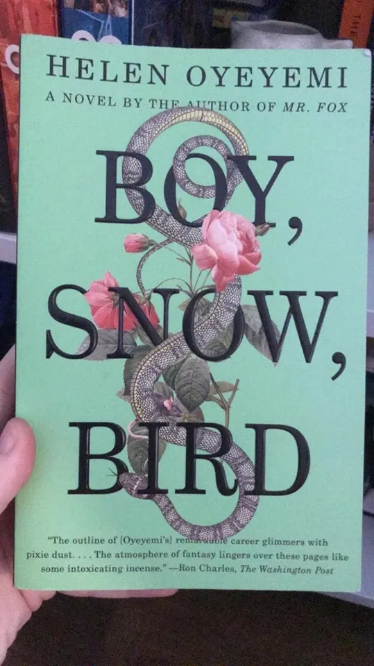 Boy, Snow, Bird photo 1