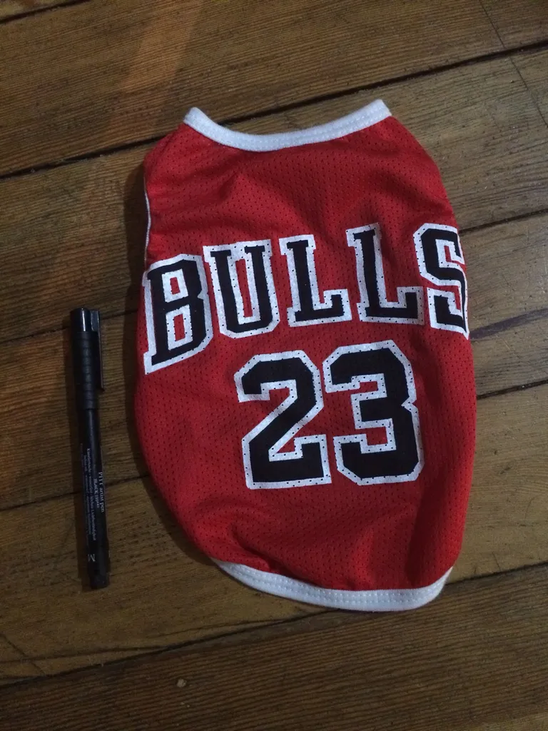 XS Dog Bulls Jersey photo 1